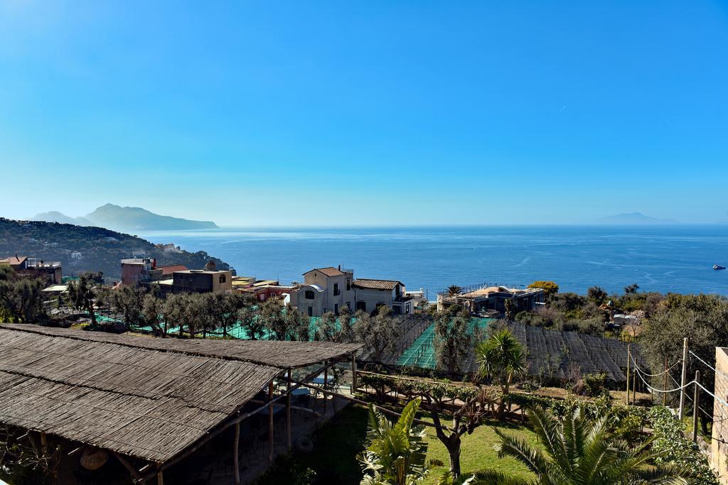 La Ciucciara Holiday Homes Massa Lubrense Exterior foto